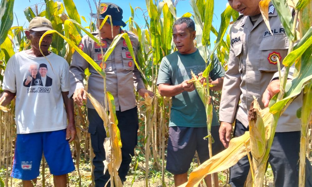Polresta Sidoarjo Gelorakan Swasembada Pangan Melalui Program P2B