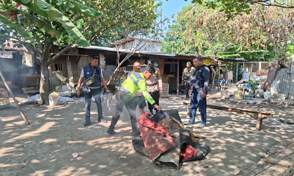Polsek Waru Bongkar Arena Sabung Ayam di Bungurasih Utara